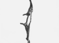 Acrobats, 1981, image 3, cropped